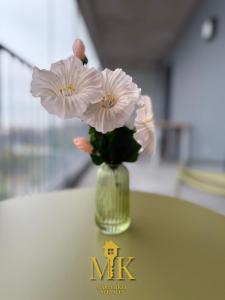 Appartements T2 Vue Pompidou Balcon, Sport & Centre Muse : photos des chambres