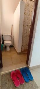 Studio solace kitisuru