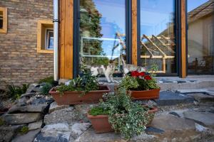 Nora Guest House - Happy Rentals