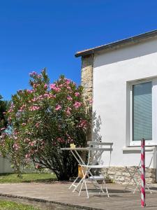 Les Lauriers N°3 - Soleil et repos