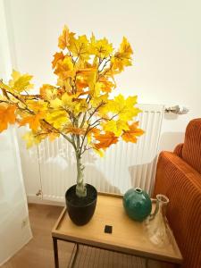 Vases dhonneur HOME proche de Paris et du stade de France