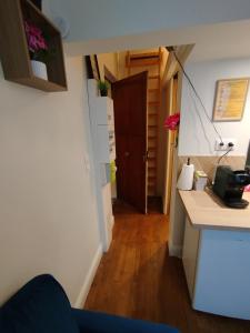 Appartements Studio Mezzanine Theatre Orleans : photos des chambres