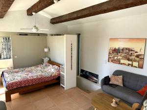 Villas Charming Villa, Sunroof, big pool & olive trees : photos des chambres