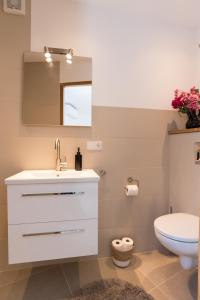 Ben Thuis Studio Alkmaar