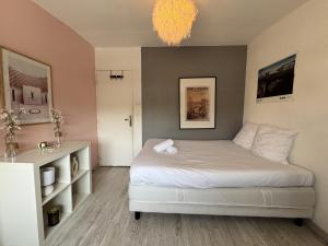 Maisons de vacances LAlhambra House - Circuit - 11p - Reve Au Mans : photos des chambres