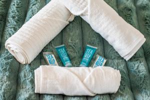 Appartements Le Rollin - Proche Hopital- Netflix : photos des chambres