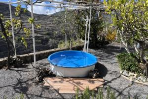 Finca Cuevas La Solana