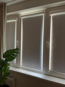 BALI apartment in central Mažeikiai SELF CHECK-IN 24H