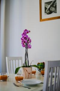 Appartement de type 2 cabine pour 4 personnes