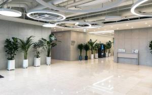 The Raffinato Hotel Residece at Myeongdong