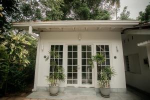 Jungle Villa Retreat