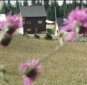 Village house Popovic