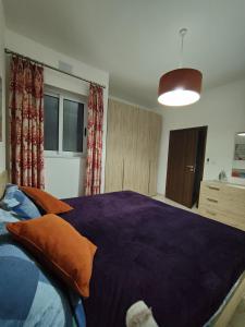 Entire Apartment I Pool Access I Walk to Beach