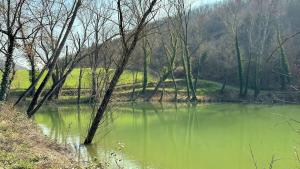 Urbino e Gola del Furlo, Idromassaggio Lux
