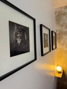 Maisons de vacances La Divine Limoux House Sauna Balneotherapy : photos des chambres