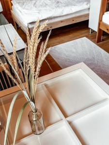 Seaside Klaukse Little