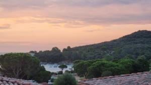Appartement Carpe diem vue mer plage à pied
