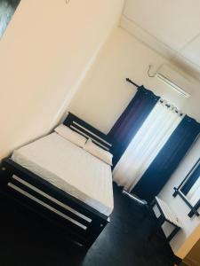 Black & White Elephant Lobby