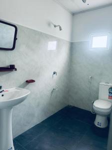 Black & White Elephant Lobby