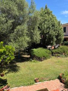 Appartamento accogliente img20