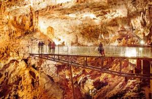 Maisons de vacances House Patio Air Conditioning Elegant Decoration : photos des chambres