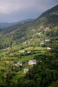Farmers Homestay, Mukteshwar