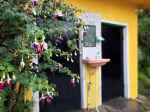 Farmers Homestay, Mukteshwar