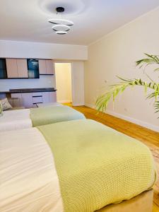 Stylish Studio by the Nile