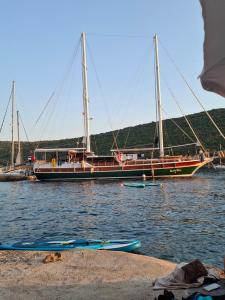 Apartman u zelenilu Bigove