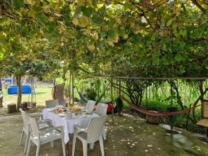 Green Palms-მწვანე პალმები