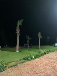 Studio in Porto Said Compound