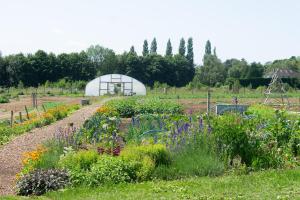 Combe Grove Health and Wellness