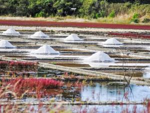 Maisons de vacances Holiday Home Chalet moderne La Baule-Guerande by Interhome : photos des chambres