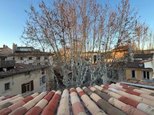 Appartements Appartement cocooning centre ville : Appartement 1 Chambre