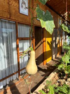 Sonskip Oornagverblyf