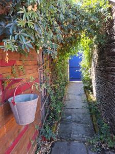 Appartements Gite Bulbul : photos des chambres