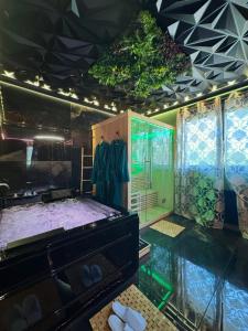 Love room SPA proche Place Stanislas Nancy