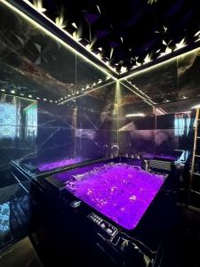 Love room SPA proche Place Stanislas Nancy