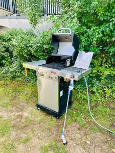Stylisches See-Studio mit Badezugang & Garten