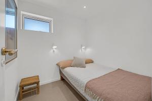 Where Lake Meets Forest