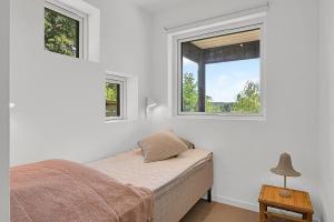 Where Lake Meets Forest