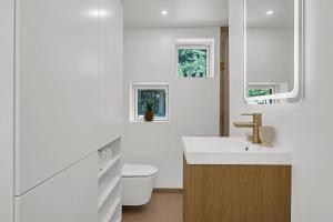 Where Lake Meets Forest