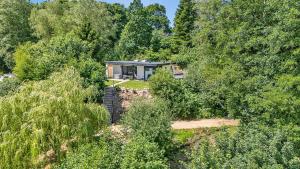 Where Lake Meets Forest