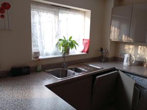 Luxurious Dingle Corner