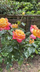 Villas Maison de famille chaleureuse et elegante : photos des chambres