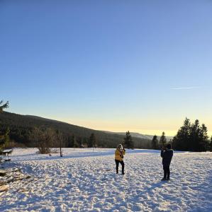 Apartamenty U Władzia