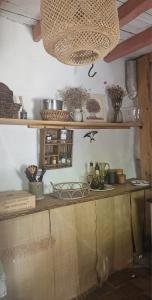 Maisons de vacances Perched Nest in Cevennes Mountains, relaxing place : photos des chambres