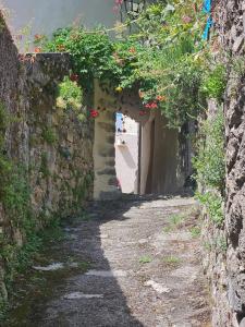 Maisons de vacances Perched Nest in Cevennes Mountains, relaxing place : photos des chambres