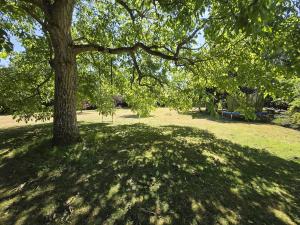 Villas Maison familiale a Verneuil sur Avre grand jardin : photos des chambres