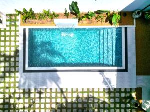 Bluelip Ceylon Weligama